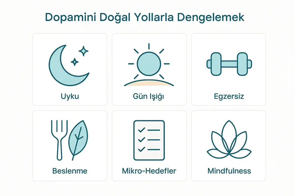 dopamin nedir ve dopamin ne işe yarar konusunu anlatan beyin ve ödül sistemi görseli